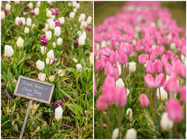 Wicked Tulips Flower Farm-Family-Session-Diana-Pozzi-Photography_0001