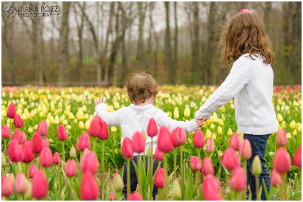 Wicked Tulips Flower Farm-Family-Session-Diana-Pozzi-Photography_0003
