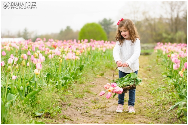 Wicked Tulips Flower Farm-Family-Session-Diana-Pozzi-Photography_0011