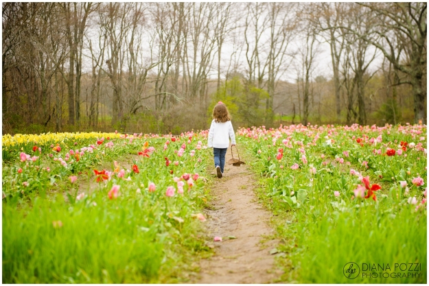 Wicked Tulips Flower Farm-Family-Session-Diana-Pozzi-Photography_0020